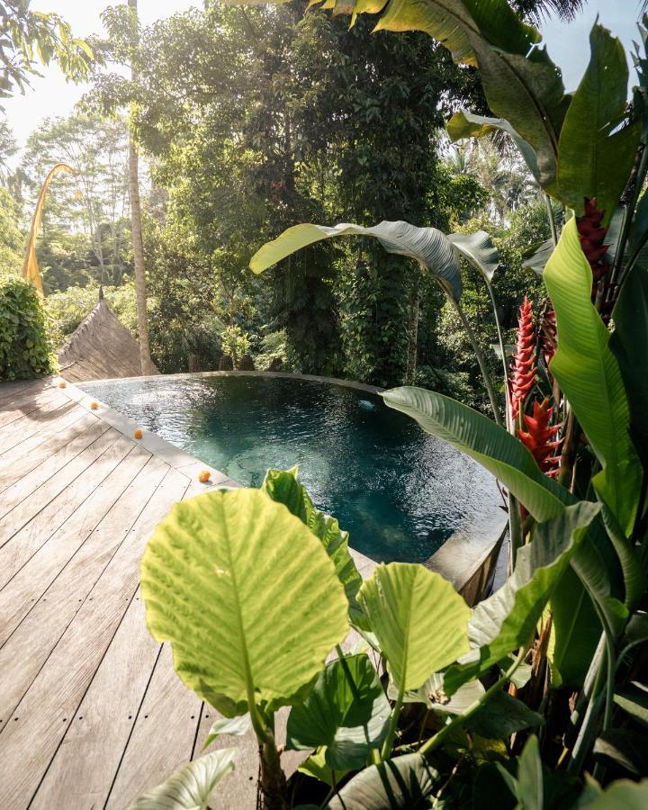 Basundari Retreat Ubud Exterior foto